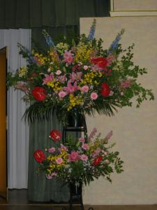 img_26651