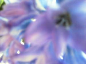 花の力｜「花の店百花園」　（北海道函館市の花キューピット加盟店 花屋）のブログ