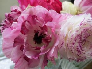 ラナンキュラスのひとりごと　｜「花の店百花園」　（北海道函館市の花キューピット加盟店 花屋）のブログ