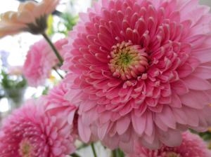 お花を持って・・｜「花の店百花園」　（北海道函館市の花キューピット加盟店 花屋）のブログ