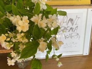 バイカウツギ｜「花の店百花園」　（北海道函館市の花キューピット加盟店 花屋）のブログ