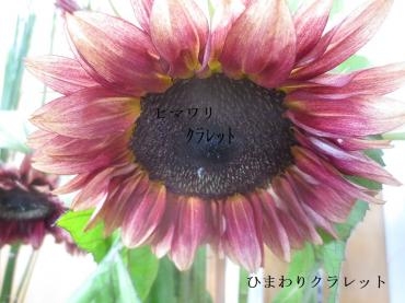中秋の月　｜「花の店百花園」　（北海道函館市の花キューピット加盟店 花屋）のブログ