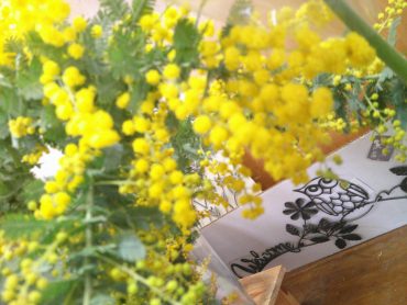 ミモザ｜「花の店百花園」　（北海道函館市の花キューピット加盟店 花屋）のブログ